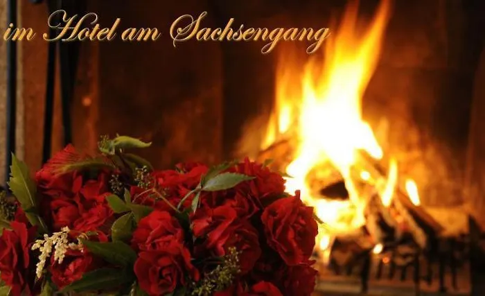 Hotel Am Sachsengang Groß-Enzersdorf