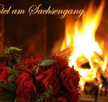 Hotel Am Sachsengang Gross-Enzersdorf